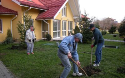 Amenajarea curtii si gradinii hospiciului – voluntara noastra doamna Stefania – aprilie 2014