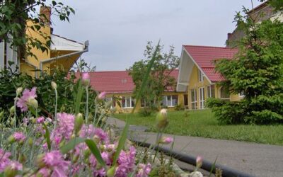 Hospice Impressions 2007
