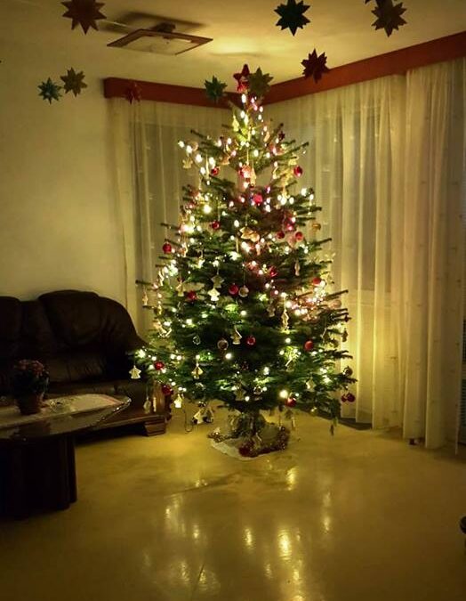 Colindători în Hospice, decembrie 2018